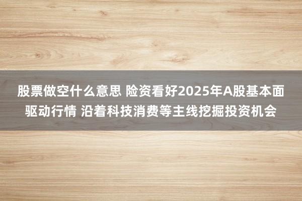 股票做空什么意思 险资看好2025年A股基本面驱动行情 沿着科技消费等主线挖掘投资机会