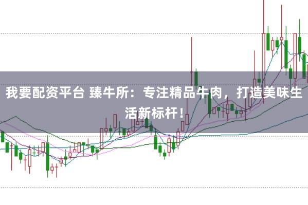 我要配资平台 臻牛所：专注精品牛肉，打造美味生活新标杆！