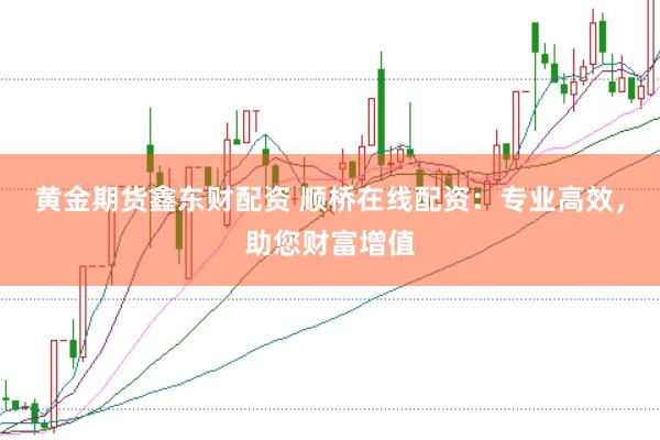 黄金期货鑫东财配资 顺桥在线配资：专业高效，助您财富增值