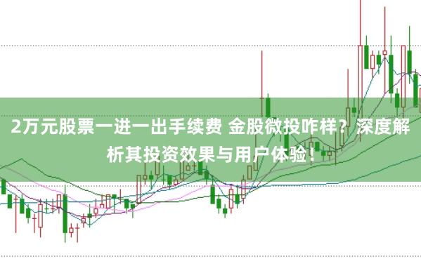 2万元股票一进一出手续费 金股微投咋样？深度解析其投资效果与用户体验！