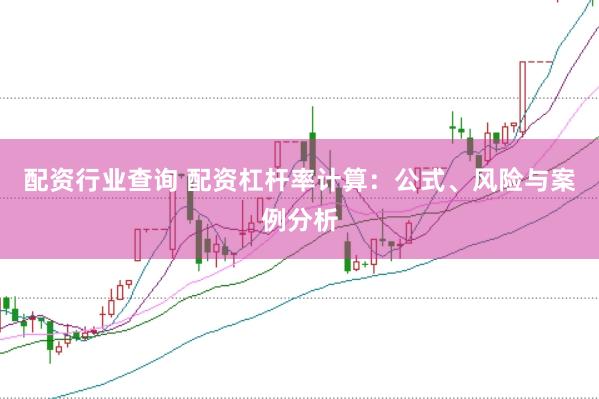 配资行业查询 配资杠杆率计算：公式、风险与案例分析